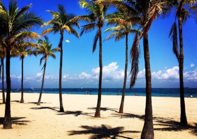 Fort Lauderdale kimmeltävä meri ja palmuja rannalla