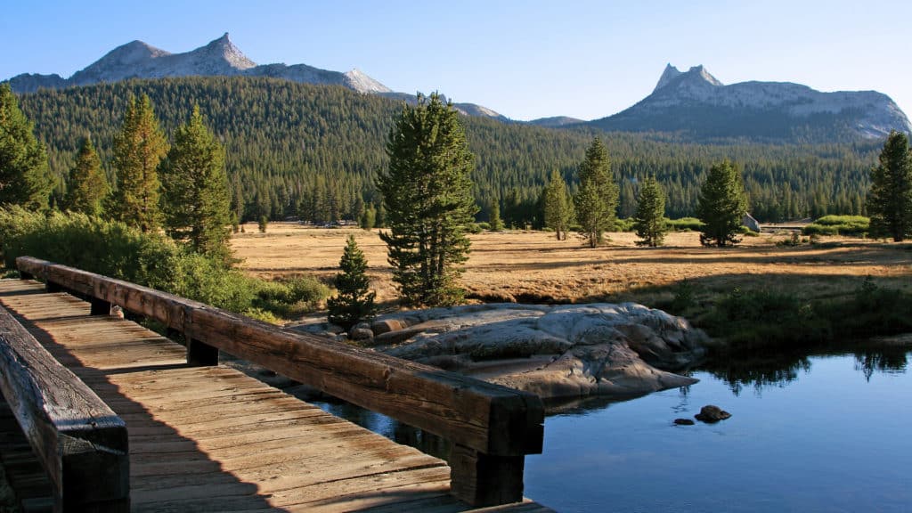 Tuolumne meadows, Yosemite
